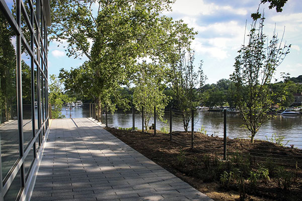 Shady walkway near building on waterfront area.